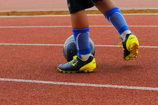 开云在线直播-明星球员带动体育产业发展，打造体育明星的弊端