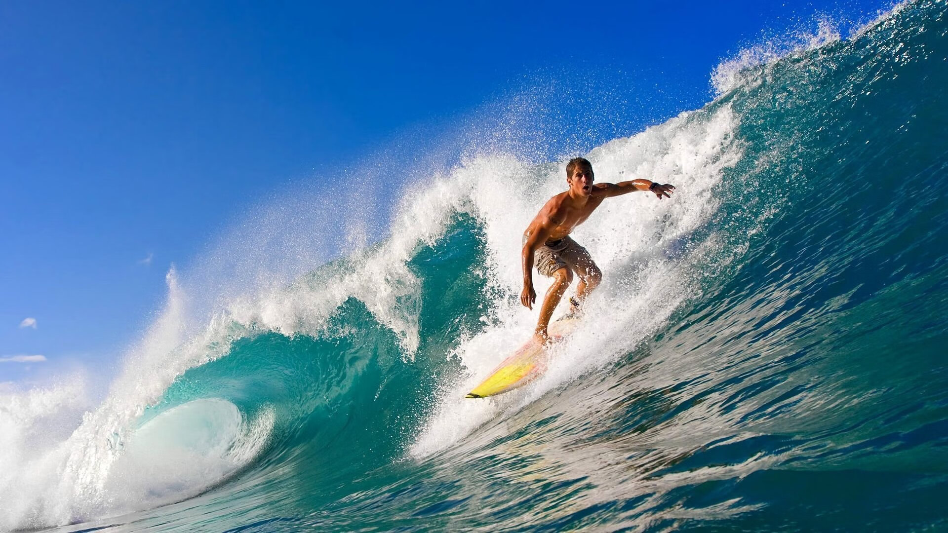 开云官网登录-自由搏击课程走进中学安全教育课堂，自由搏击教学内容